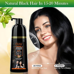 Dexe Natural Black Argan Speedy Hair Color Shampoo - 420ml