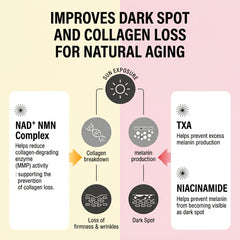 EPII Double Up Cream (NAD+ • NMN & TXA) – 50ml