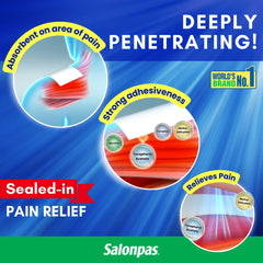 Salonpas Medicated Patch – 20 Patches