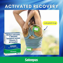 Salonpas Medicated Patch – 20 Patches