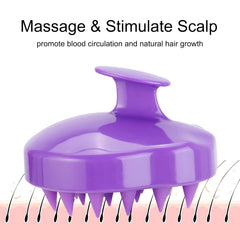 Bremod Hair Care Treatment Combo