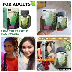 Ling Zhi Chuang Yao Wan – 50 Capsules