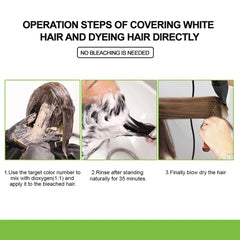 Bremod Performance Milk Tea Ash 8.17 Hair Color - 100ml