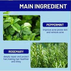 Disaar Lice Repellent Hair Oil – Natural Lice Defense & Scalp Treatment