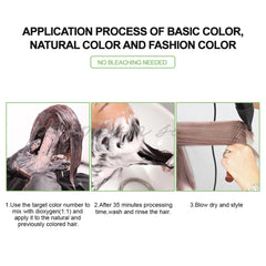 Bremod Premium 8.17 Milk Tea Ash Hair Color with Oxidizer Combo