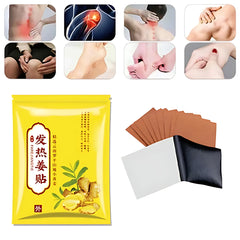 FAREJIANGTIE Pain Relief Ginger Patches (100pcs) + Wispoe Soft Fur Hot Water Bottle Combo