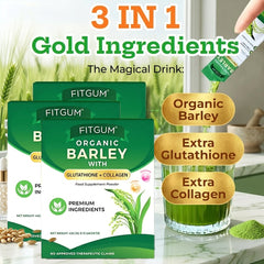 Fitgum Organic Barley Weight Loss Detox Powder – 45g × 3 Pcs Combo