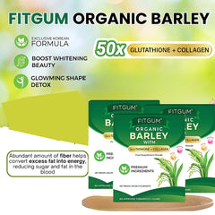 Fitgum Organic Barley Weight Loss Detox Powder – 45g × 3 Pcs Combo
