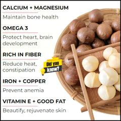 Dr. Pinoca Roasted Macadamia Nuts – Milk Flavor (180g)