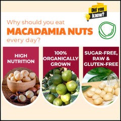 Dr. Pinoca Roasted Macadamia Nuts – Milk Flavor (180g)
