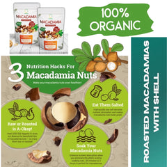 Dr. Pinoca Roasted Macadamia Nuts – Milk Flavor (180g)