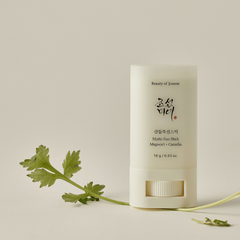 Beauty Of Joseon Matte Sun Stick Mugwort + Camelia SPF 50+ PA++++ - 18g