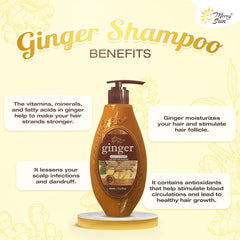 Merry Sun Ginger Anti Hair Loss Shampoo - 400ml