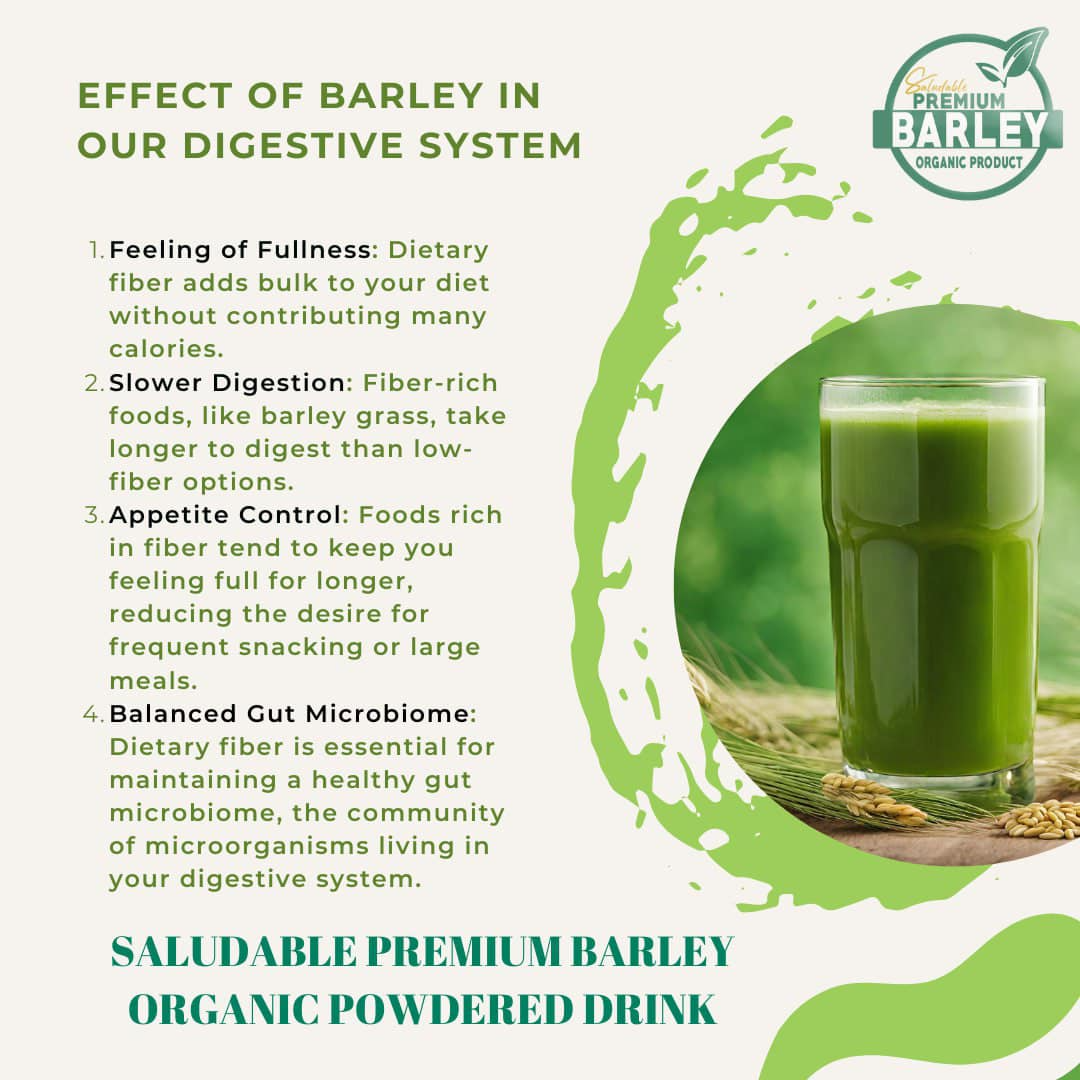 Saludable Premium Barley Organic Powdered Drink - 100g