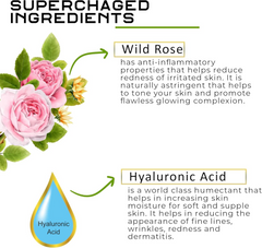 Earth Genix Wild Rose Body Lotion - 300ml