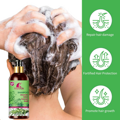 Roushun Rosemary Mint Hair Shampoo & Hair Oil - 500ml + 100ml (Combo)