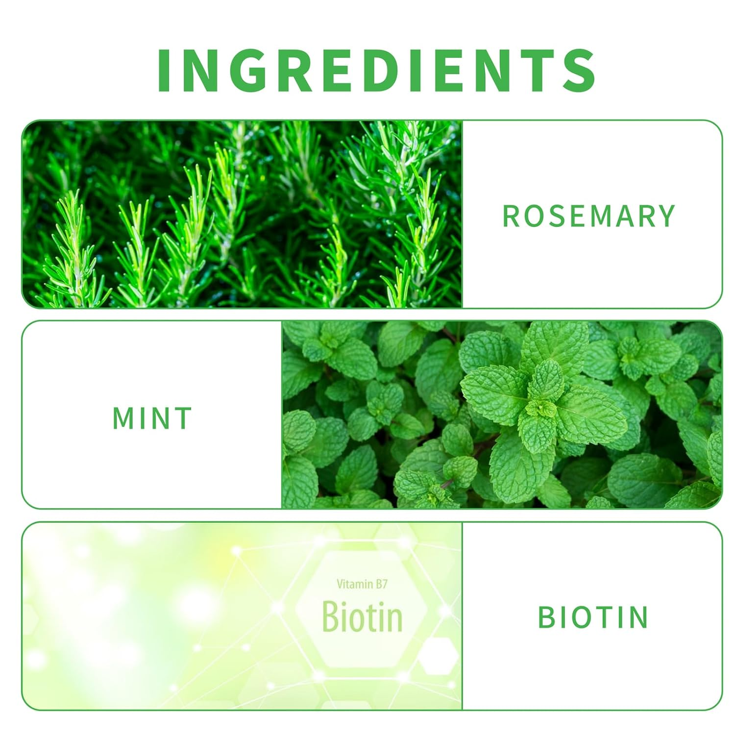 Roushun Rosemary Mint Hair Shampoo & Hair Oil - 500ml + 100ml (Combo)