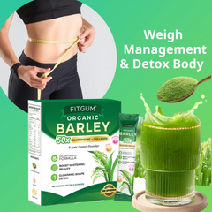 Fitgum Organic Barley Weight Loss Detox Powder - 45g