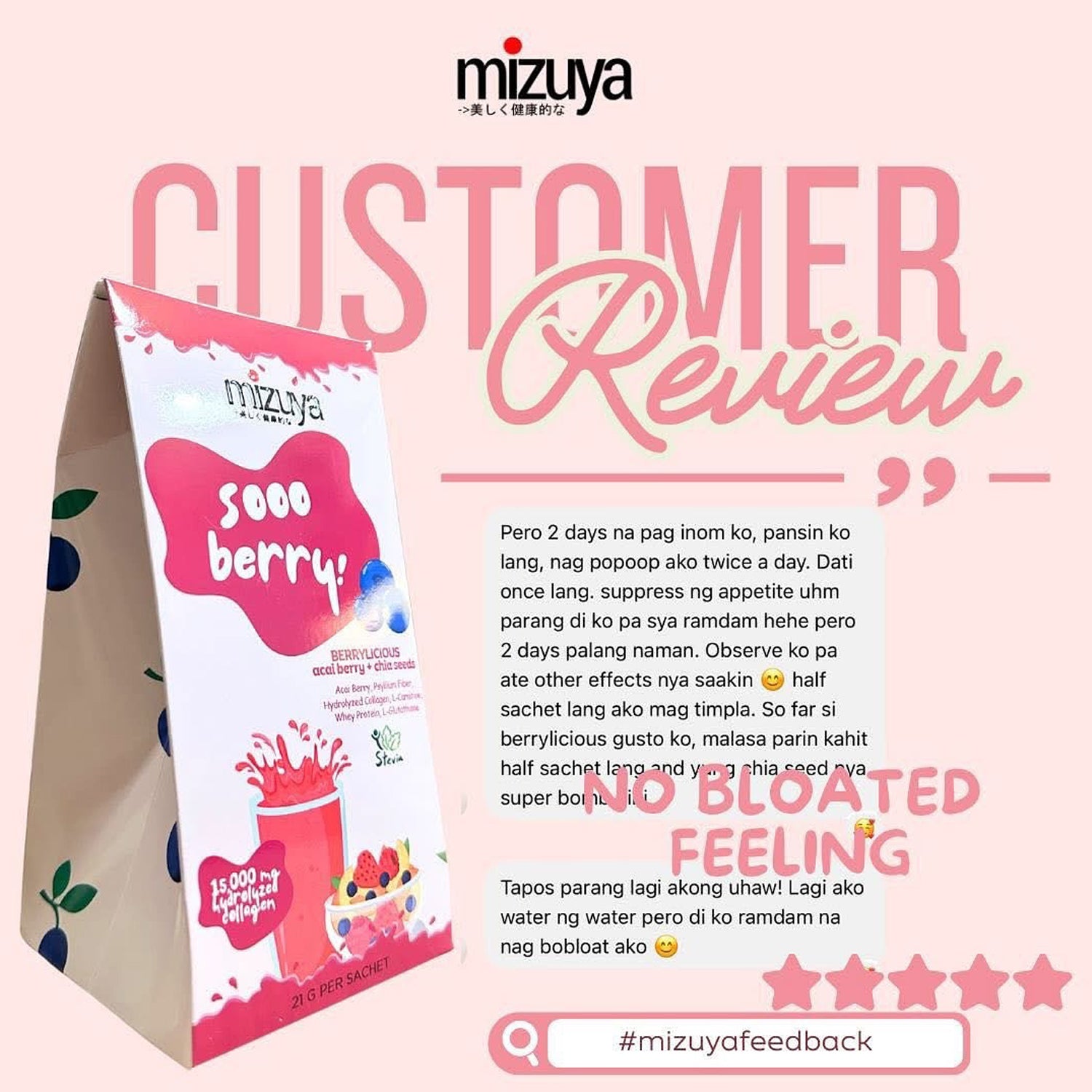 Mizuya Sooo Berry! Berrylicious Acai Berry + Chia Seeds Mixed Berries - 21g × 10 Sachets