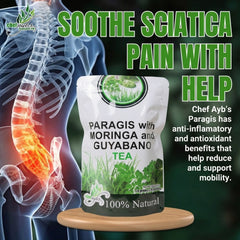 Chef Ayb's Paragis with Moringa & Guyabano Tea – 20 Sachets (1.8g Each)