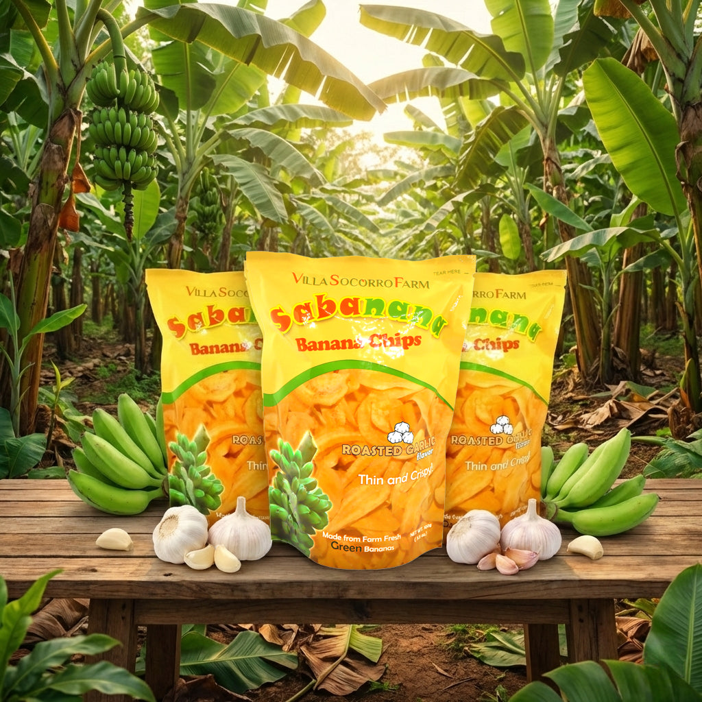 Sabanana Banana Chips – Roasted Garlic Flavor 100g (3 Pcs Combo)