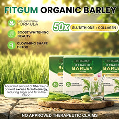 Fitgum Organic Barley Weight Loss Detox Powder – 45g × 3 Pcs Combo