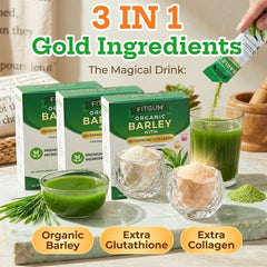 Fitgum Organic Barley Weight Loss Detox Powder – 45g × 3 Pcs Combo