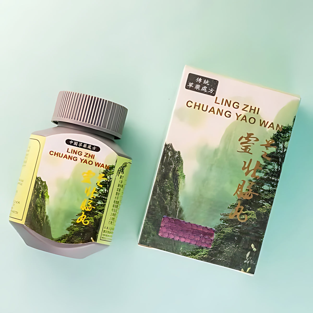 Ling Zhi Chuang Yao Wan – 50 Capsules