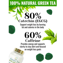 Dr. Pinoca Green Tea Nature Lean Gummies – 60 Gummies