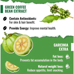 Dr. Pinoca Green Tea Nature Lean Gummies – 60 Gummies
