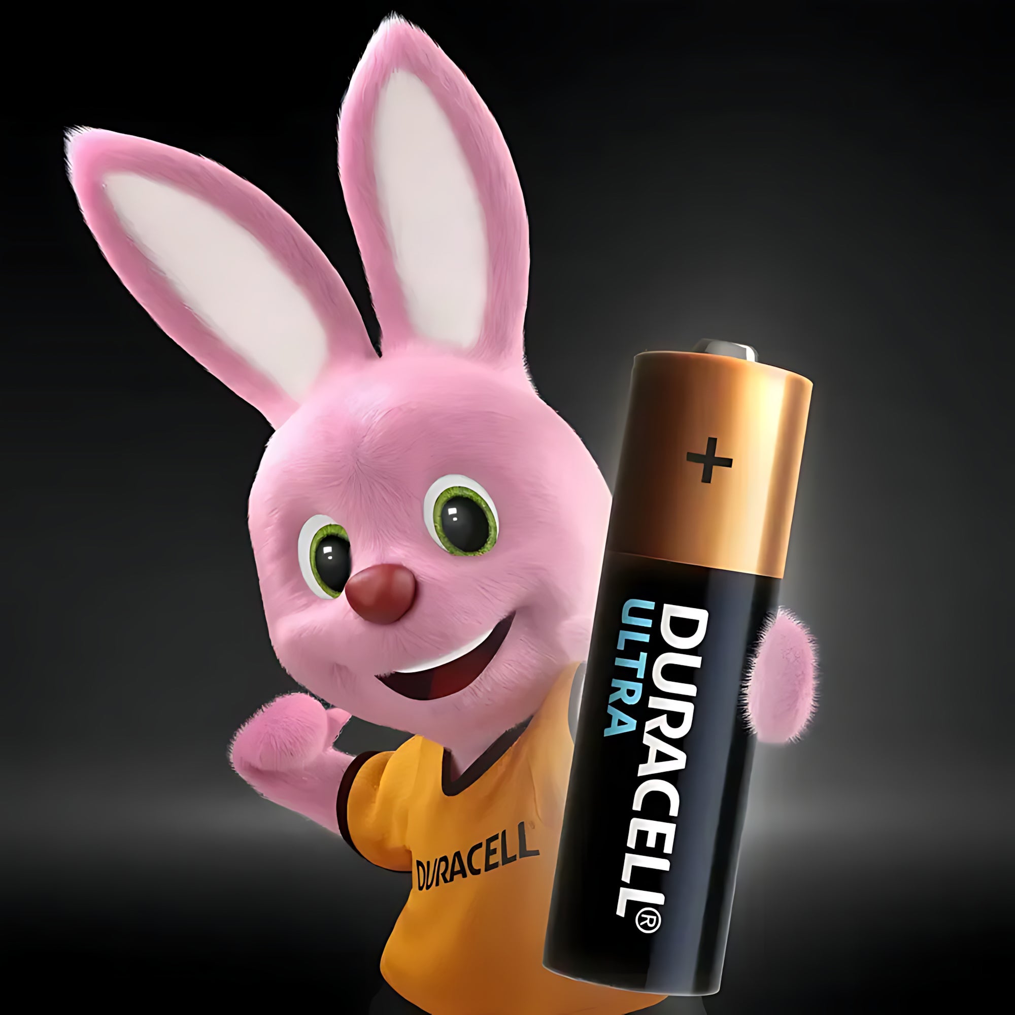 Duracell Original AA Alkaline Batteries – Pack of 2