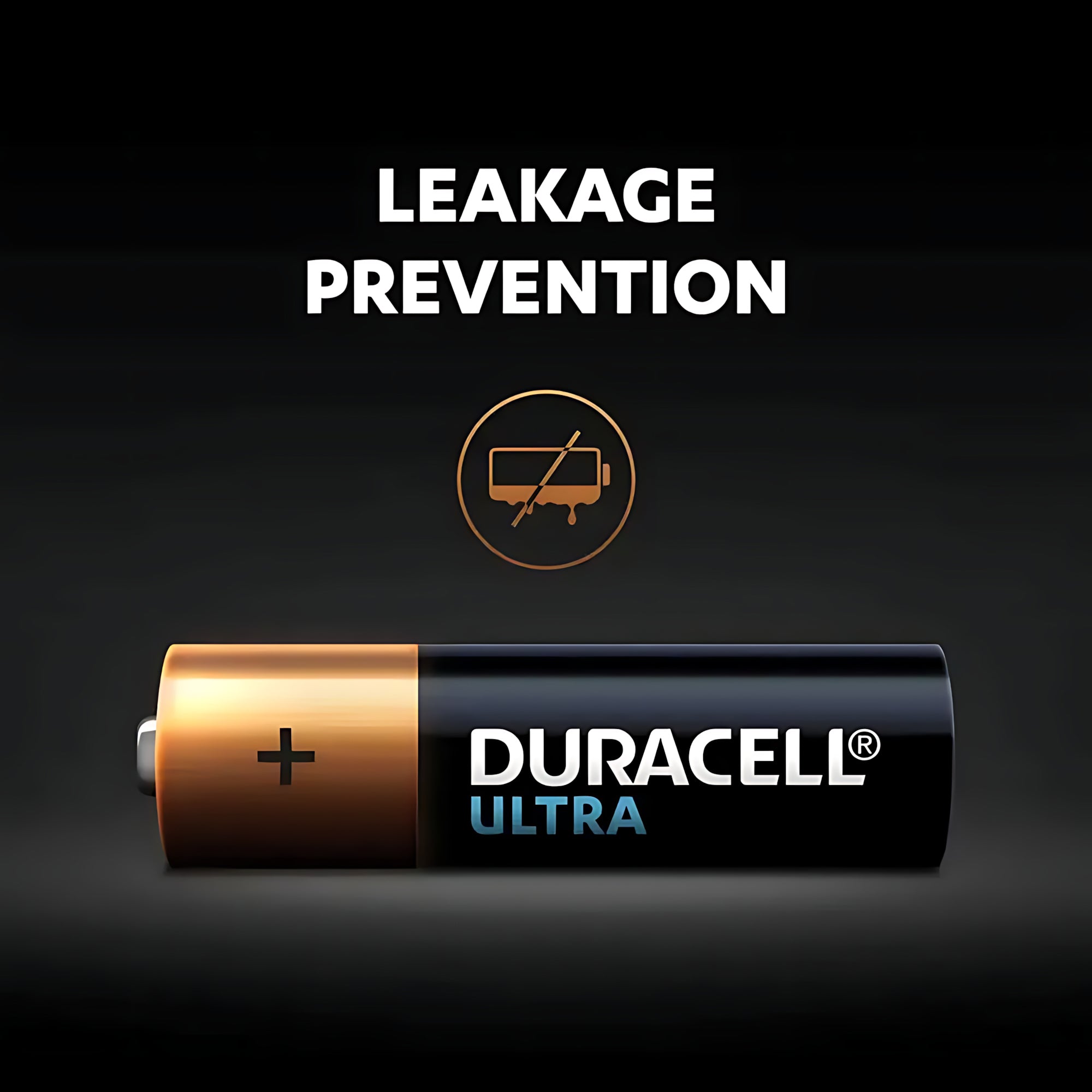 Duracell Original AA Alkaline Batteries – Pack of 2