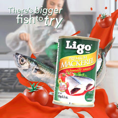 Ligo Premium Mackerel in Tomato Sauce – 155g